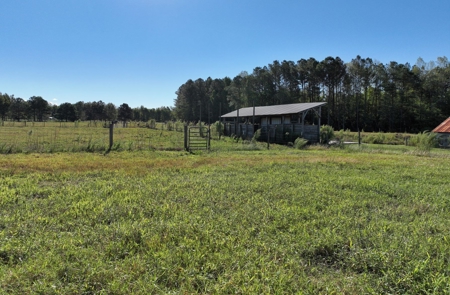3 BR Log Home with 54.59 Acres - image 2