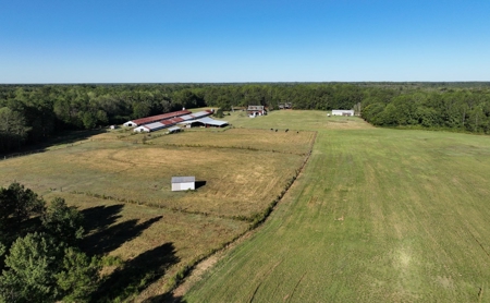 3 BR Log Home with 54.59 Acres - image 5