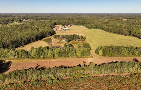 3 BR Log Home with 54.59 Acres - image 6