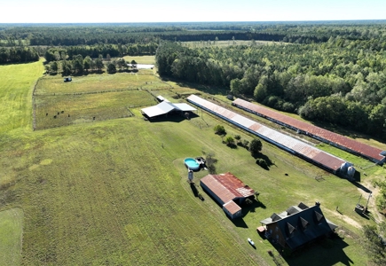 3 BR Log Home with 54.59 Acres - image 7
