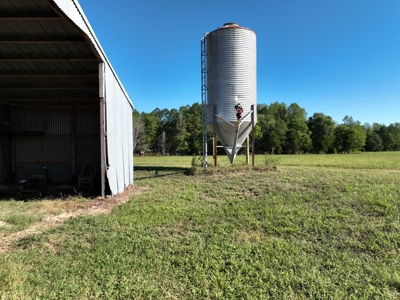 3 BR Log Home with 54.59 Acres - image 15