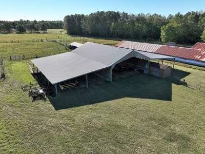 3 BR Log Home with 54.59 Acres - image 9