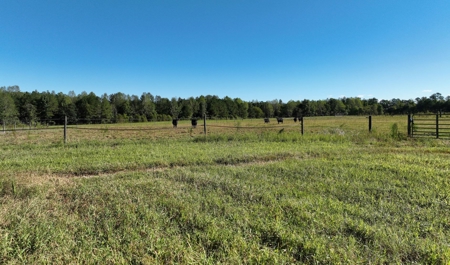 3 BR Log Home with 54.59 Acres - image 3