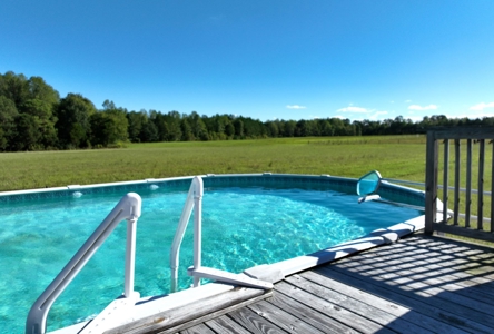 3 BR Log Home with 54.59 Acres - image 4