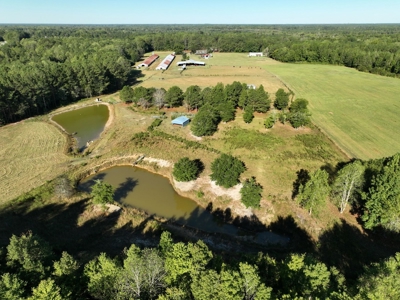 3 BR Log Home with 54.59 Acres - image 16