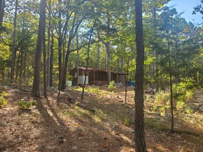 Cabin & 10 Acres In Kiamichi Wilderness For Sale - image 1