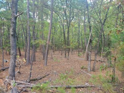 Cabin & 10 Acres In Kiamichi Wilderness For Sale - image 40