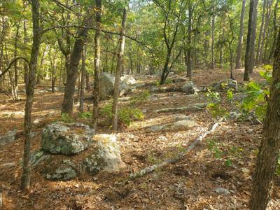 Cabin & 10 Acres In Kiamichi Wilderness For Sale - image 11