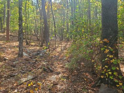 Cabin & 10 Acres In Kiamichi Wilderness For Sale - image 7