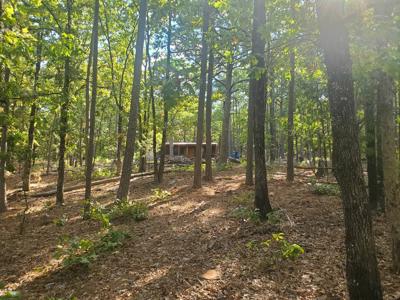 Cabin & 10 Acres In Kiamichi Wilderness For Sale - image 13