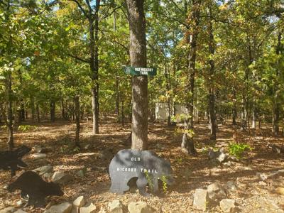 Cabin & 10 Acres In Kiamichi Wilderness For Sale - image 47