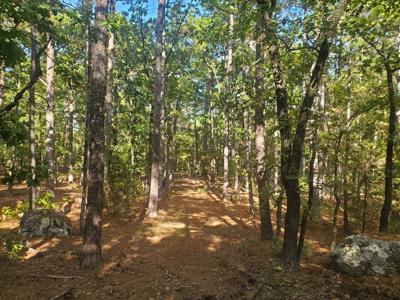 Cabin & 10 Acres In Kiamichi Wilderness For Sale - image 12