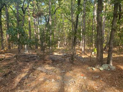 Cabin & 10 Acres In Kiamichi Wilderness For Sale - image 6