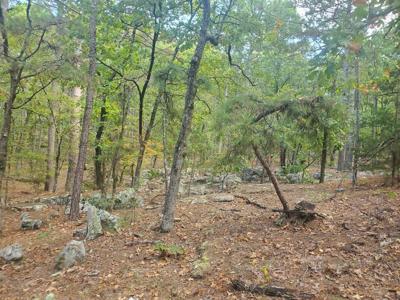 Cabin & 10 Acres In Kiamichi Wilderness For Sale - image 8