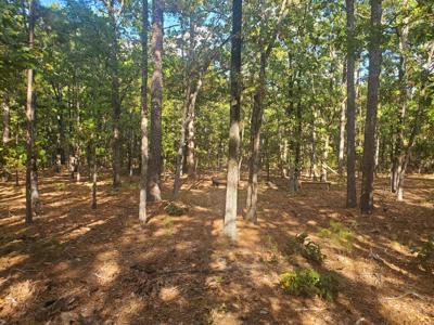 Cabin & 10 Acres In Kiamichi Wilderness For Sale - image 14