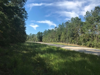 36 Acre Perry County MS Homestead, Hunting Property for Sale - image 39