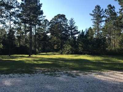 36 Acre Perry County MS Homestead, Hunting Property for Sale - image 37