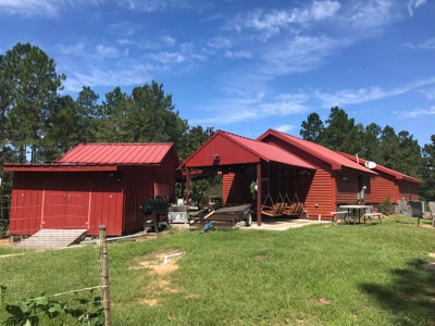 36 Acre Perry County MS Homestead, Hunting Property for Sale - image 3