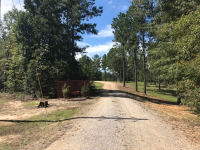 36 Acre Perry County MS Homestead, Hunting Property for Sale - image 33