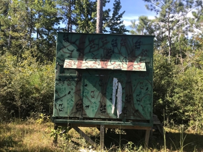 36 Acre Perry County MS Homestead, Hunting Property for Sale - image 41