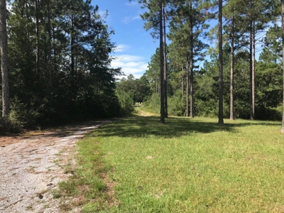 36 Acre Perry County MS Homestead, Hunting Property for Sale - image 29
