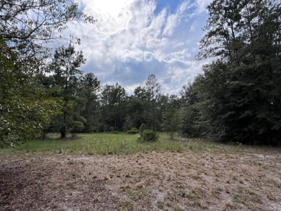 Remodeled Home - Jasper Florida - Hamilton County Florida - image 34