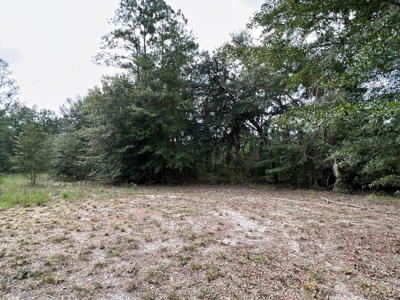 Remodeled Home - Jasper Florida - Hamilton County Florida - image 37
