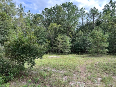 Remodeled Home - Jasper Florida - Hamilton County Florida - image 28