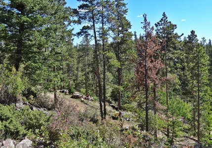 Beautiful Camping Lot with Amenities - image 9