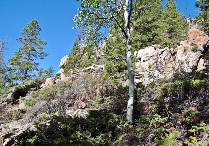Beautiful Camping Lot with Amenities - image 15