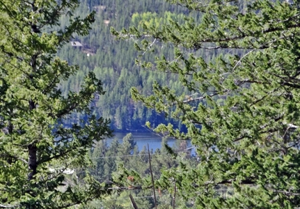 Beautiful Camping Lot with Amenities - image 8