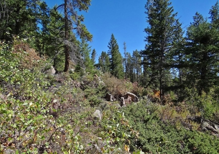 Beautiful Camping Lot with Amenities - image 10