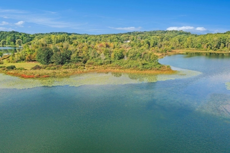 Outdoor Paradise! Just shy of 10 acres with lake frontage - image 34