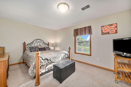 Outdoor Paradise! Just shy of 10 acres with lake frontage - image 21