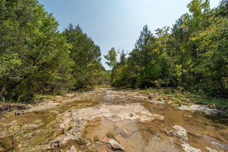 Stunning Acreage Near White River With Development Potential - image 7