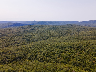 Stunning Acreage Near White River With Development Potential - image 12