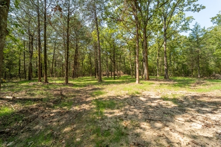 Stunning Acreage Near White River With Development Potential - image 8