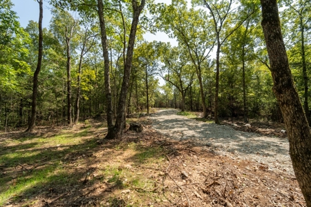 Stunning Acreage Near White River With Development Potential - image 6