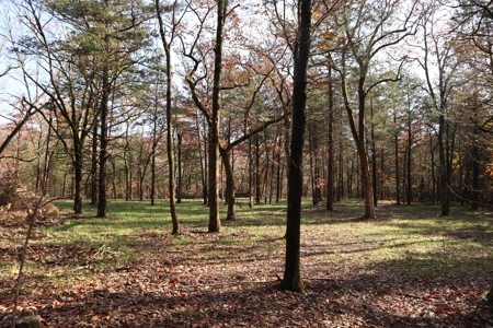 Stunning Acreage Near White River With Development Potential - image 27