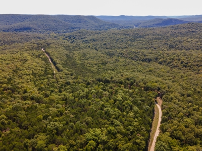 Stunning Acreage Near White River With Development Potential - image 14