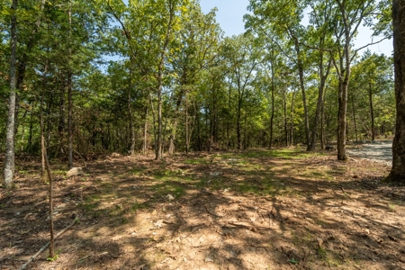 Stunning Acreage Near White River With Development Potential - image 4