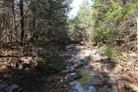 Stunning Acreage Near White River With Development Potential - image 23