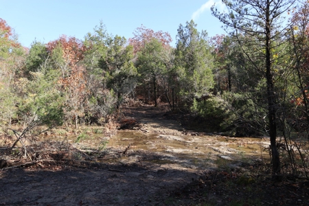 Stunning Acreage Near White River With Development Potential - image 26