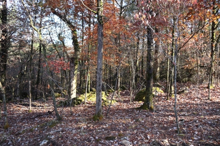 Stunning Acreage Near White River With Development Potential - image 37