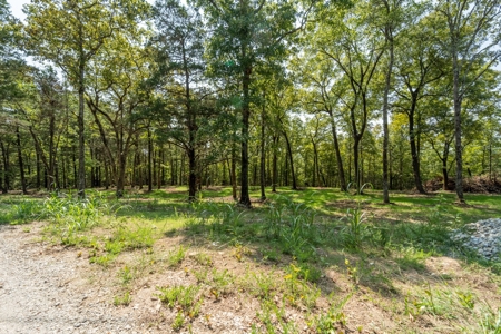 Stunning Acreage Near White River With Development Potential - image 2
