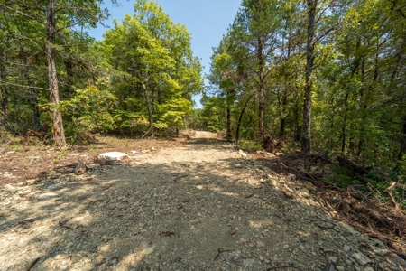 Stunning Acreage Near White River With Development Potential - image 3