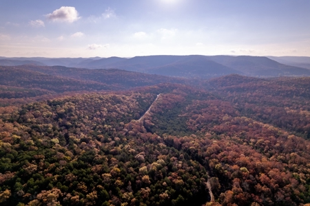 Stunning Acreage Near White River With Development Potential - image 41