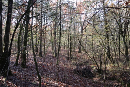 Stunning Acreage Near White River With Development Potential - image 32