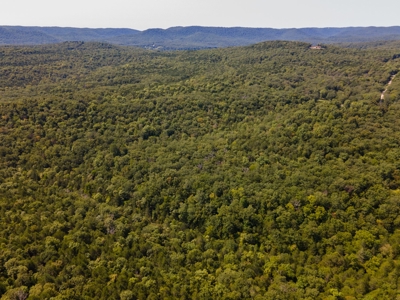 Stunning Acreage Near White River With Development Potential - image 17