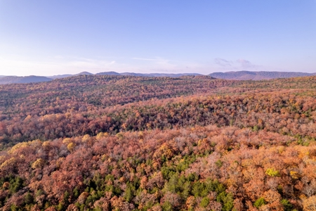Stunning Acreage Near White River With Development Potential - image 45